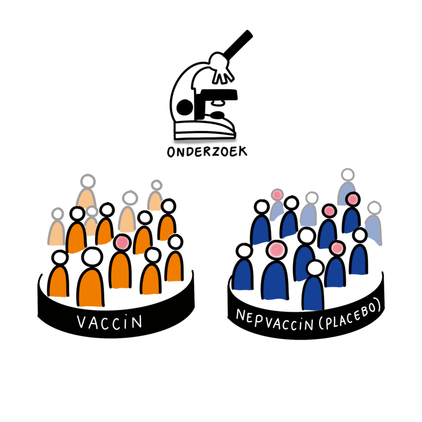 Onderzoeksgroepen van een vaccin: een placebogroep en een groep die het vaccin krijgt