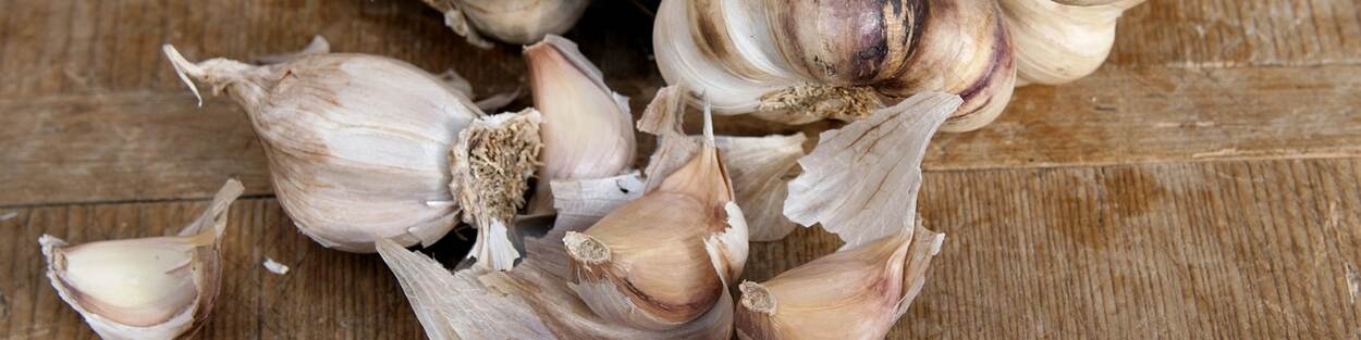 Knoflook