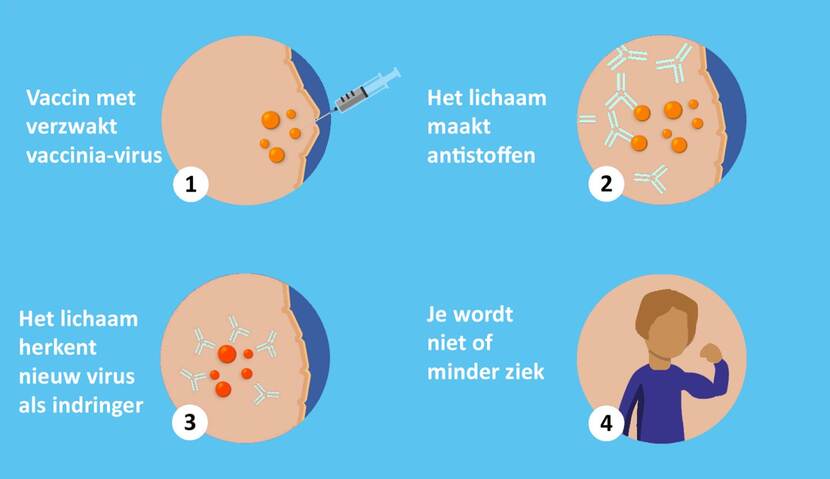 Vaccins: uitleg