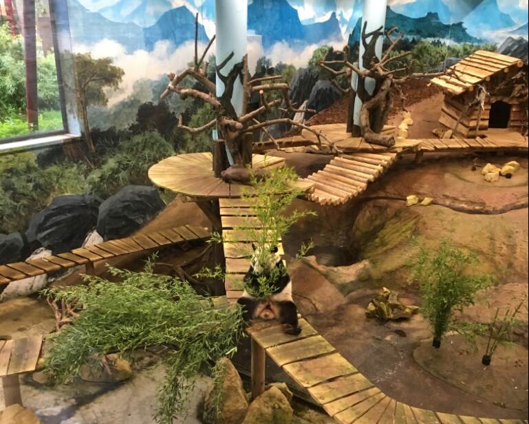 Stakeholdersdag BD 2019 bij het pandaverblijf in Ouwehands Dierenpark in Rhenen