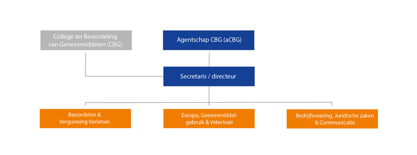 Organogram